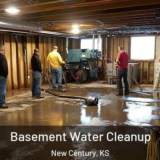  Basement Water Cleanup New Century, KS