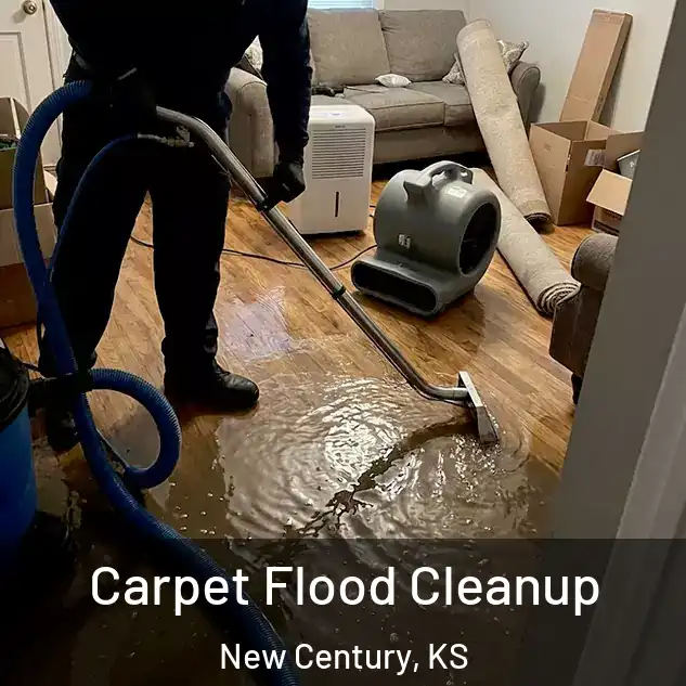  Carpet Flood Cleanup New Century, KS