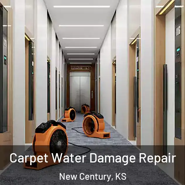  Carpet Water Damage Repair New Century, KS