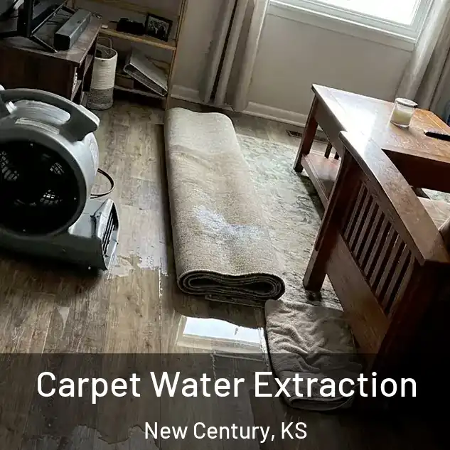  Carpet Water Extraction New Century, KS