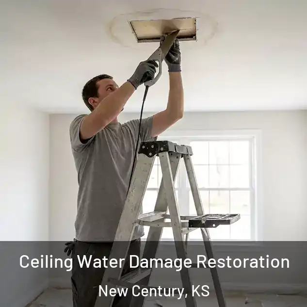  Ceiling Water Damage Restoration New Century, KS