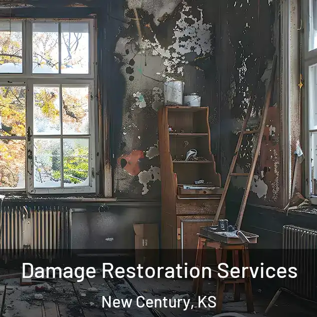  Damage Restoration Services New Century, KS