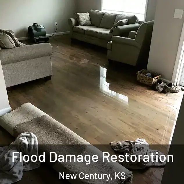  Flood Damage Restoration New Century, KS