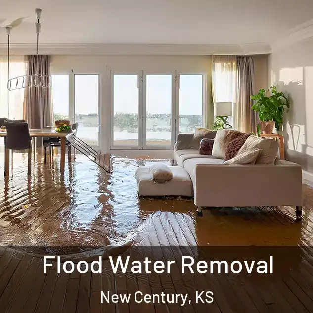  Flood Water Removal New Century, KS