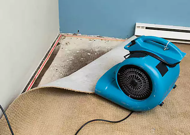 Your Water Damage Experts in New Century, KS