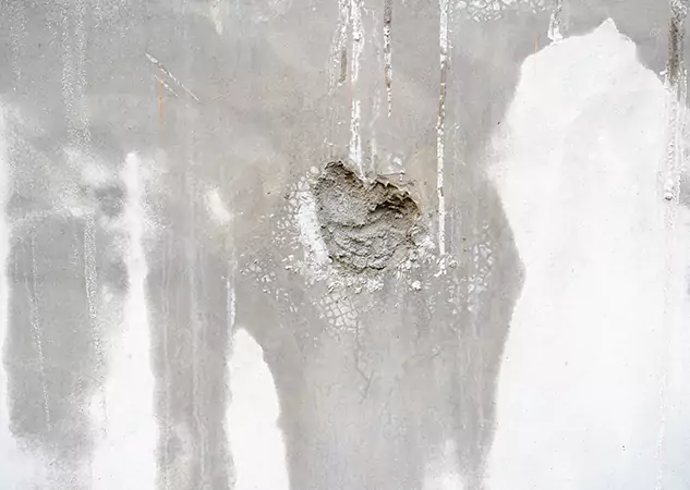 Your Mold Mitigation Solutions Partner in New Century, KS