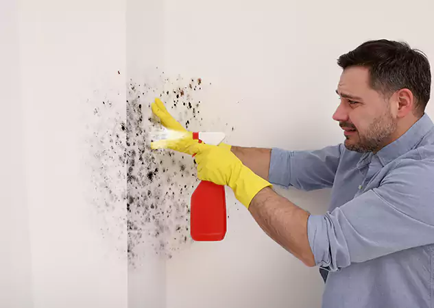 Your Water Mold Fire Restoration Partner in New Century, KS