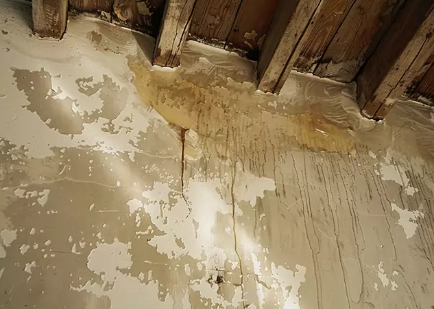 Your Trusted Restoration Company in New Century, KS