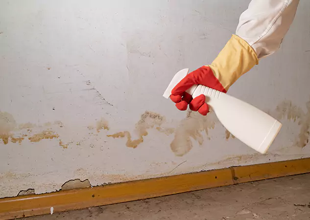 Your Water Restoration and Mold Remediation Specialists in New Century, KS