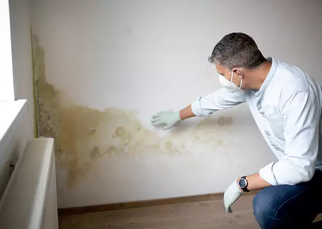 Reach Our Remediation Team Before Damage Grows in New Century, KS!