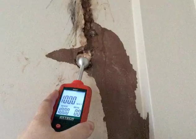 Your Water Damage Assessment Partner in New Century, KS
