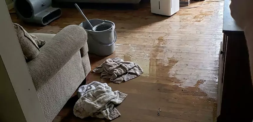 Professional Basement Water Remediation Services in New Century, KS