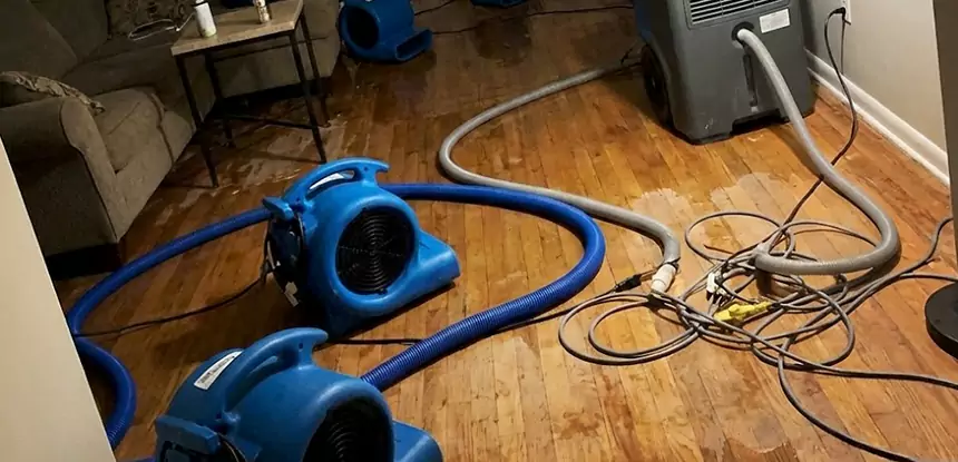 Basement Flood Restoration Services in New Century