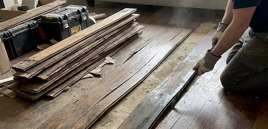 Wood Rot and Fungus Repair in New Century