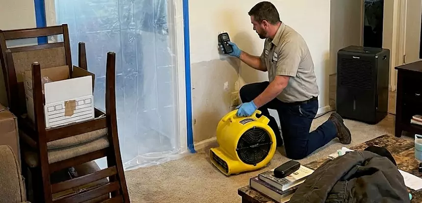 Carpet Water Damage Repair New Century
