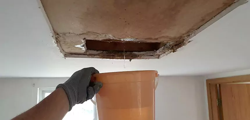 Ceiling Mold Repair New Century