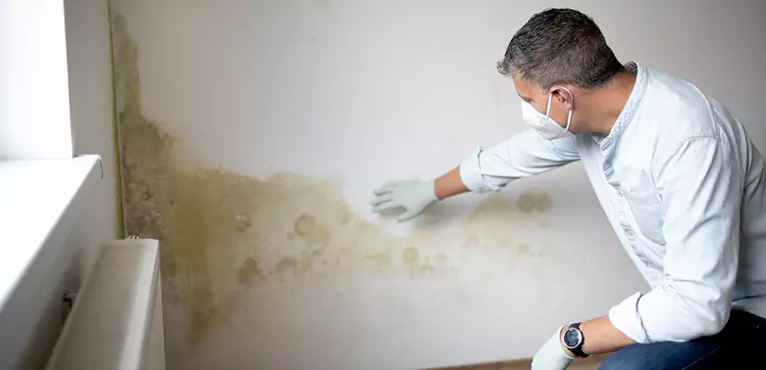 Mold and Water Damage Repair in New Century