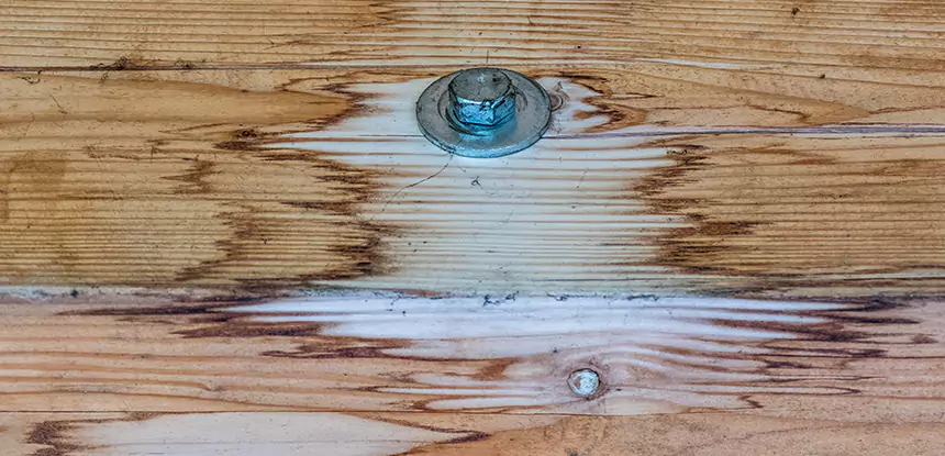 Fixing Water Marks on Wood in New Century