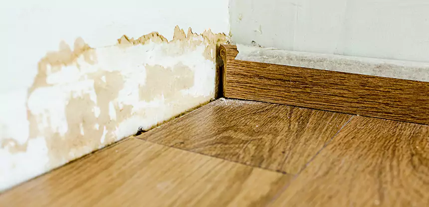 Professional Fix Water Damaged Wood Services in New Century, KS