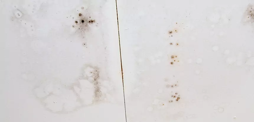 Professional Water Stain Repair Services in New Century, KS