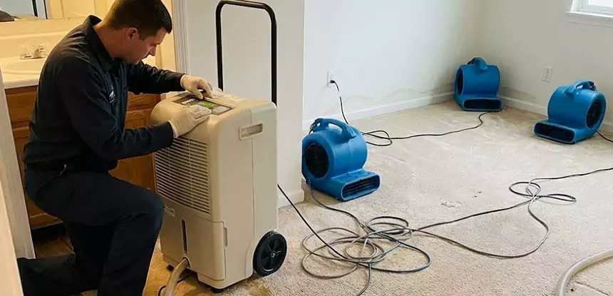 Professional Wet Carpet Removal Services in New Century, KS