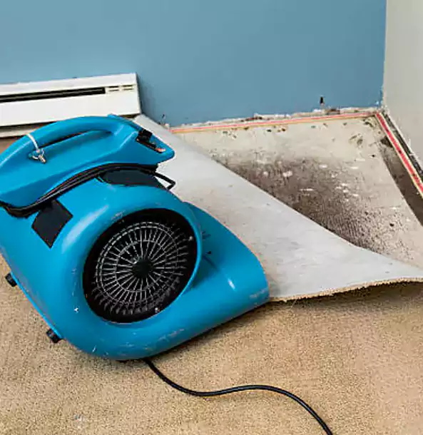 Why New Century Trusts New Century Restoration Pro for Carpet Flood Recovery?