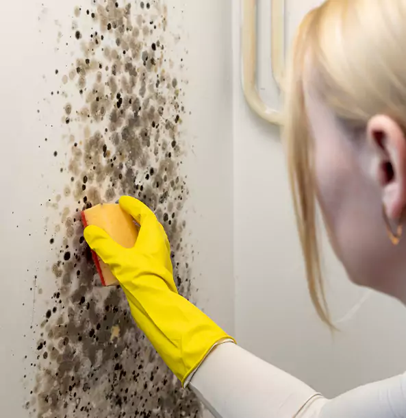 Why New Century Restoration Pro Leads Mold Remediation in New Century?