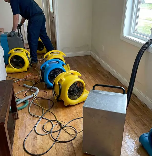 Why New Century Property Owners Choose New Century Restoration Pro for Remediation?