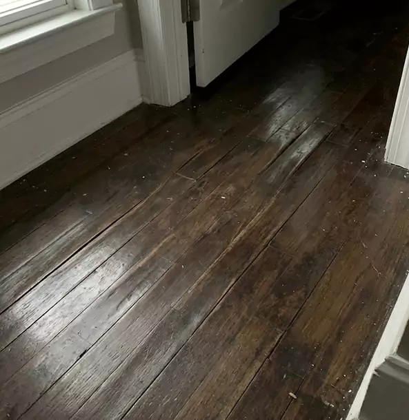 Why New Century Homeowners Trust New Century Restoration Pro to Fix Water Damaged Wood?