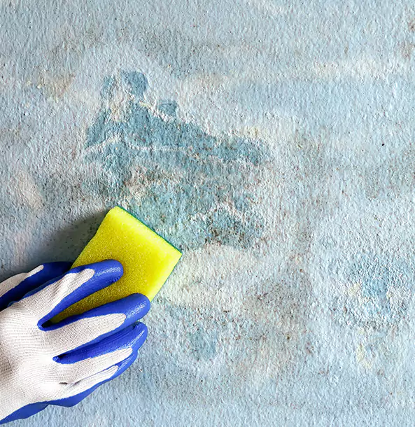 Why New Century Restoration Pro Is the Right Choice in New Century, KS?