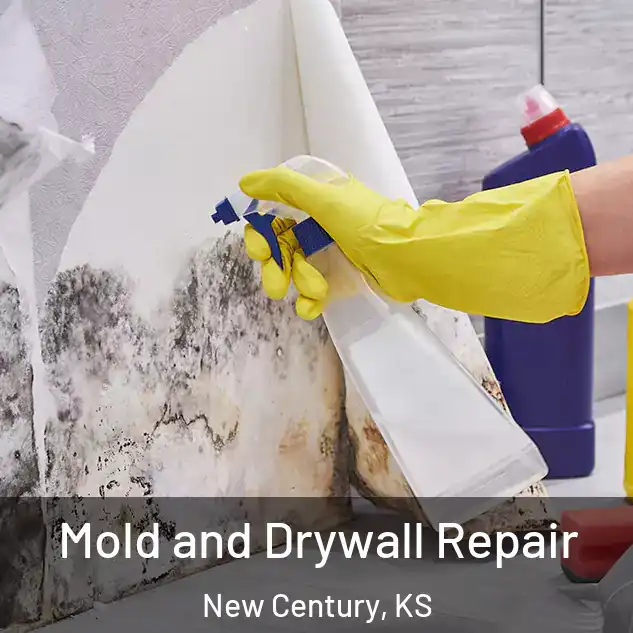  Mold and Drywall Repair New Century, KS