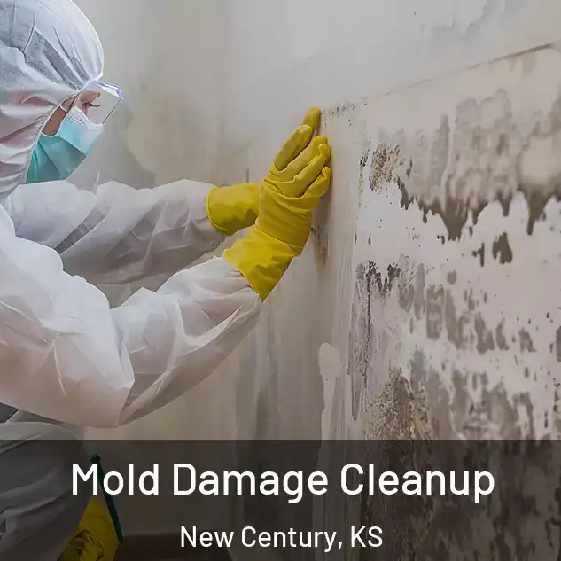  Mold Damage Cleanup New Century, KS
