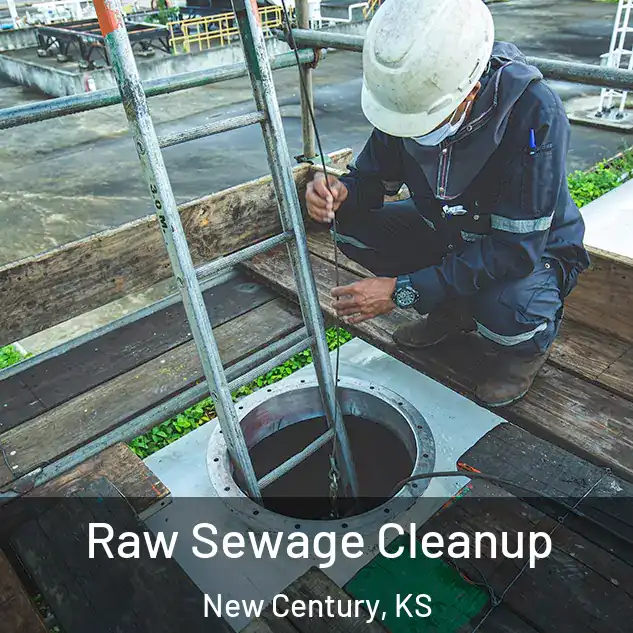  Raw Sewage Cleanup New Century, KS