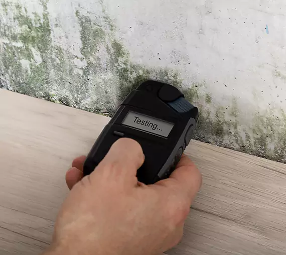 Mold Remediation Service New Century
