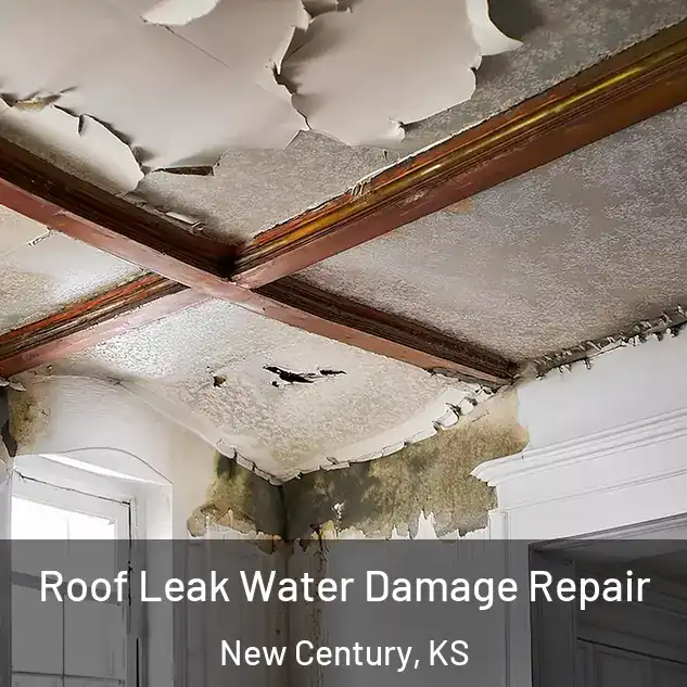  Roof Leak Water Damage Repair New Century, KS