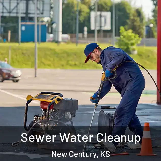  Sewer Water Cleanup New Century, KS