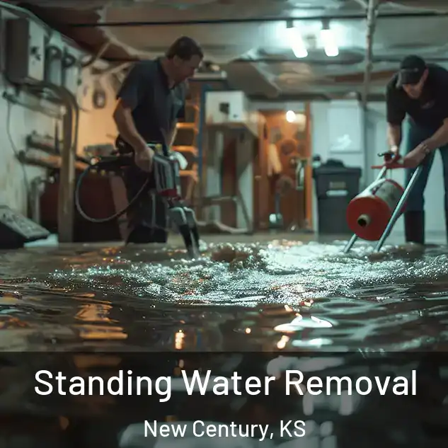  Standing Water Removal New Century, KS