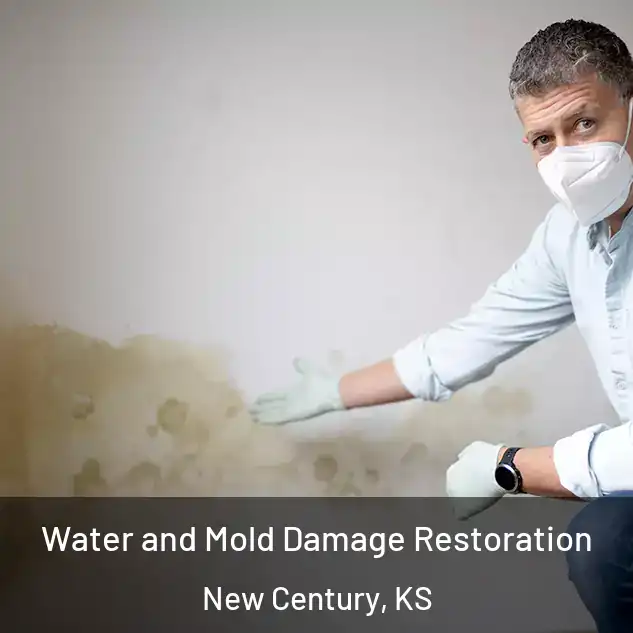  Water and Mold Damage Restoration New Century, KS
