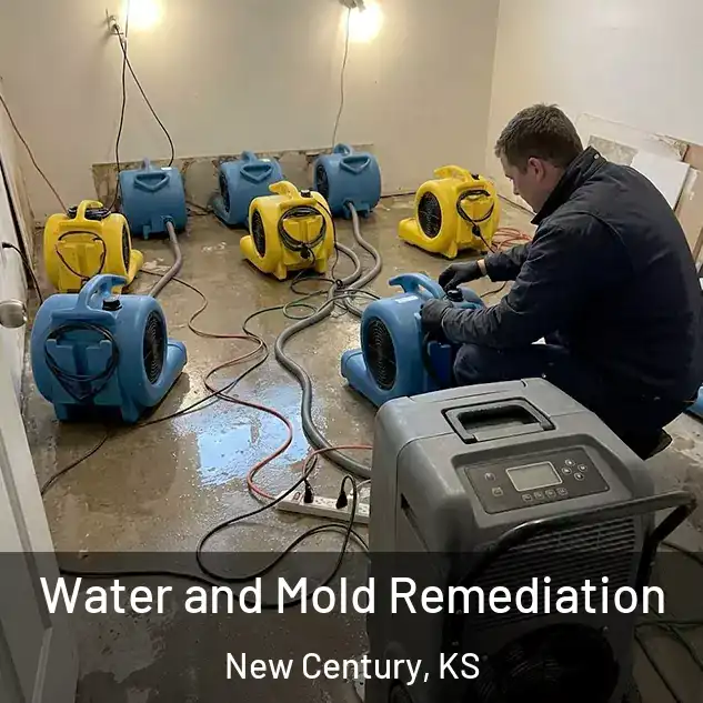  Water and Mold Remediation New Century, KS