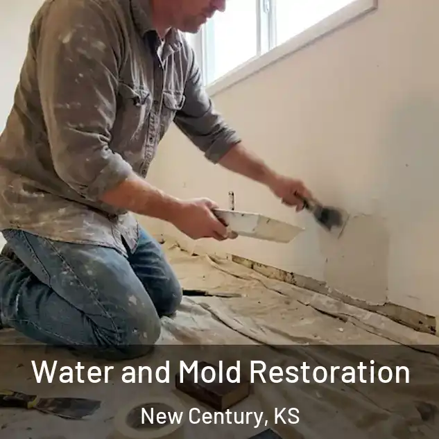  Water and Mold Restoration New Century, KS