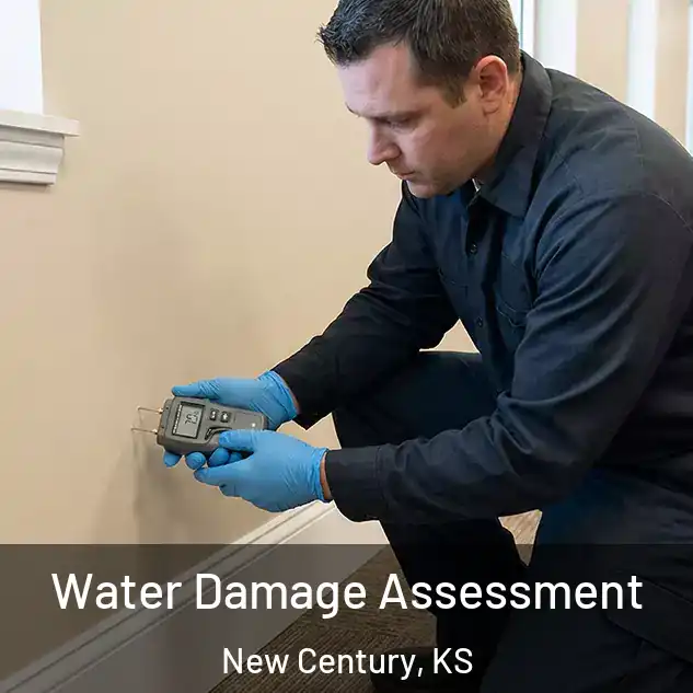  Water Damage Assessment New Century, KS