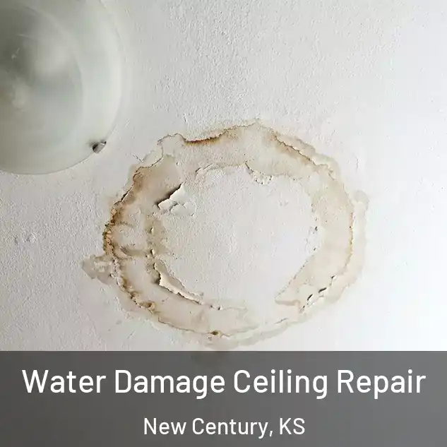  Water Damage Ceiling Repair New Century, KS