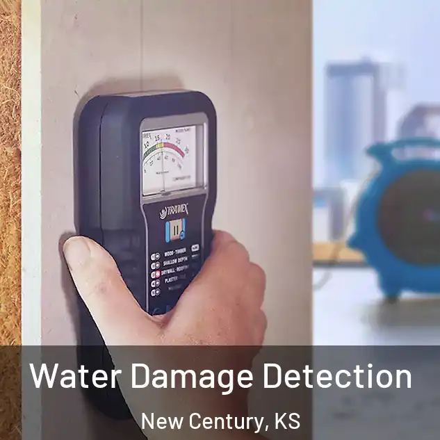  Water Damage Detection New Century, KS
