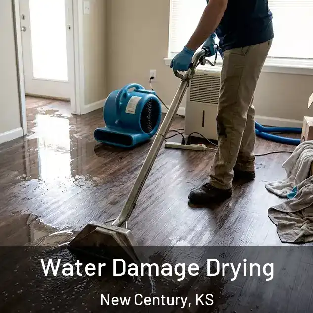  Water Damage Drying New Century, KS