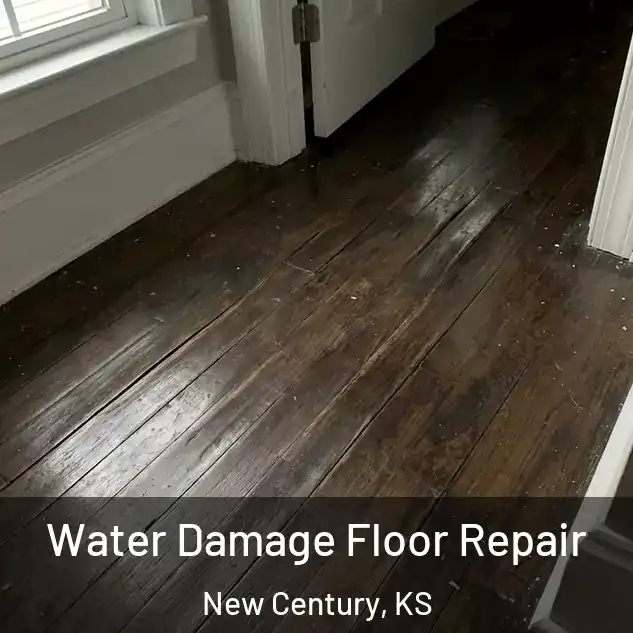  Water Damage Floor Repair New Century, KS