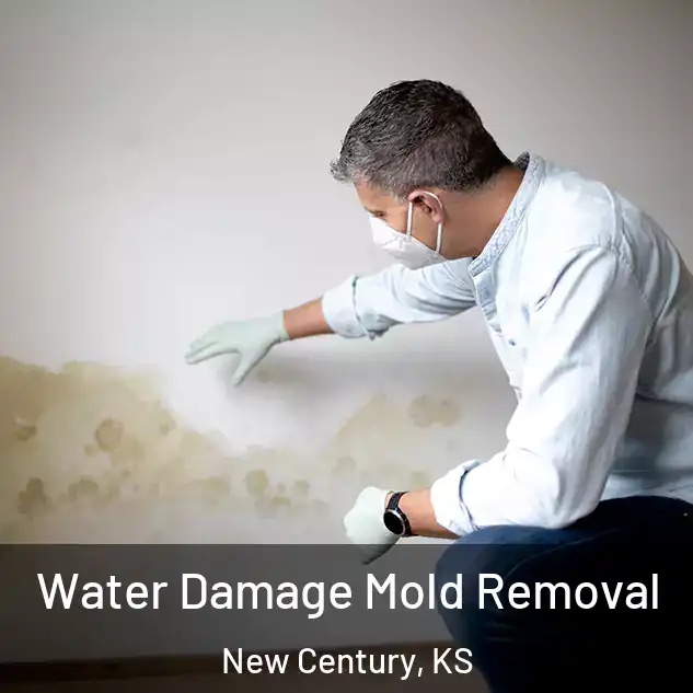  Water Damage Mold Removal New Century, KS