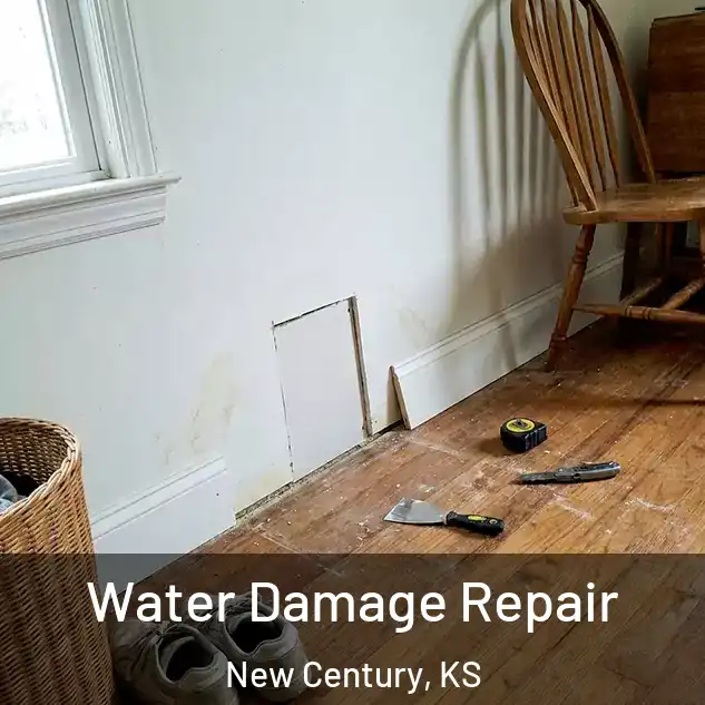  Water Damage Repair New Century, KS