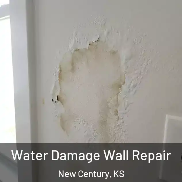  Water Damage Wall Repair New Century, KS