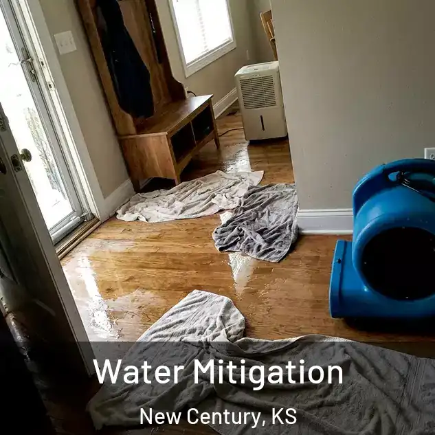  Water Mitigation New Century, KS