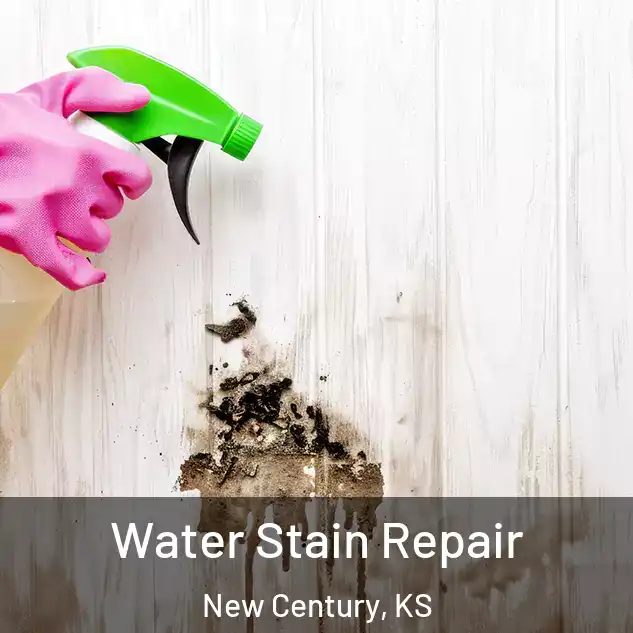  Water Stain Repair New Century, KS